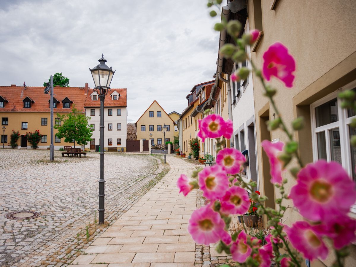 1050-Jahre Stadt Altenburg - Nikolaiviertel