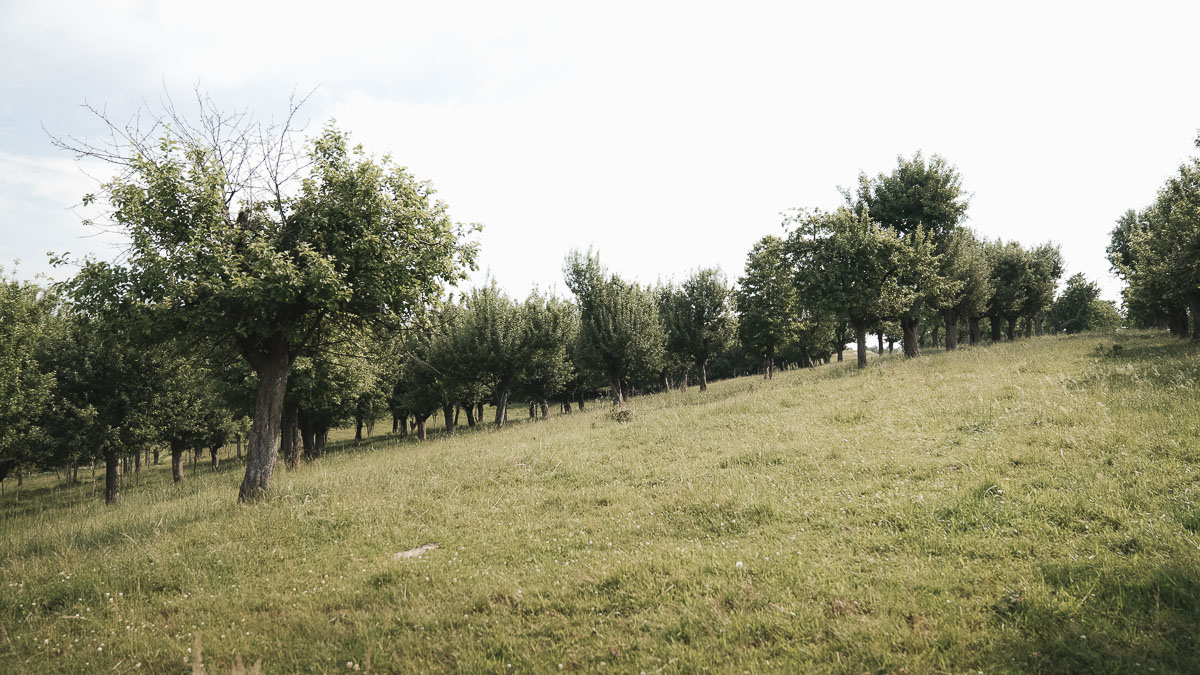 Dem Produzenten über die Schulter geschaut - Agrarunternehmen am Leinawald