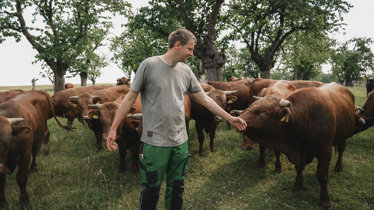 Dem Produzenten über die Schulter geschaut - Agrarunternehmen am Leinawald