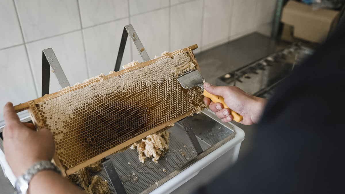 Unseren Produzenten über die Schulter geschaut - Honighof Vierk