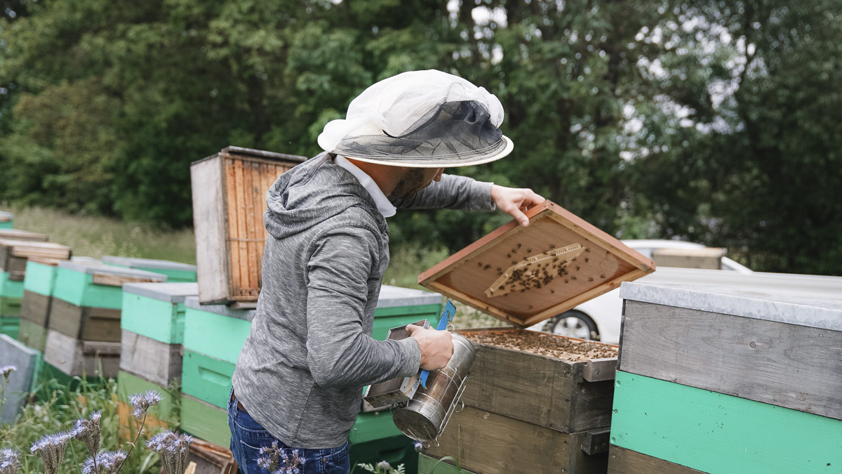 Unseren Produzenten über die Schulter geschaut - Imkerei Ebert