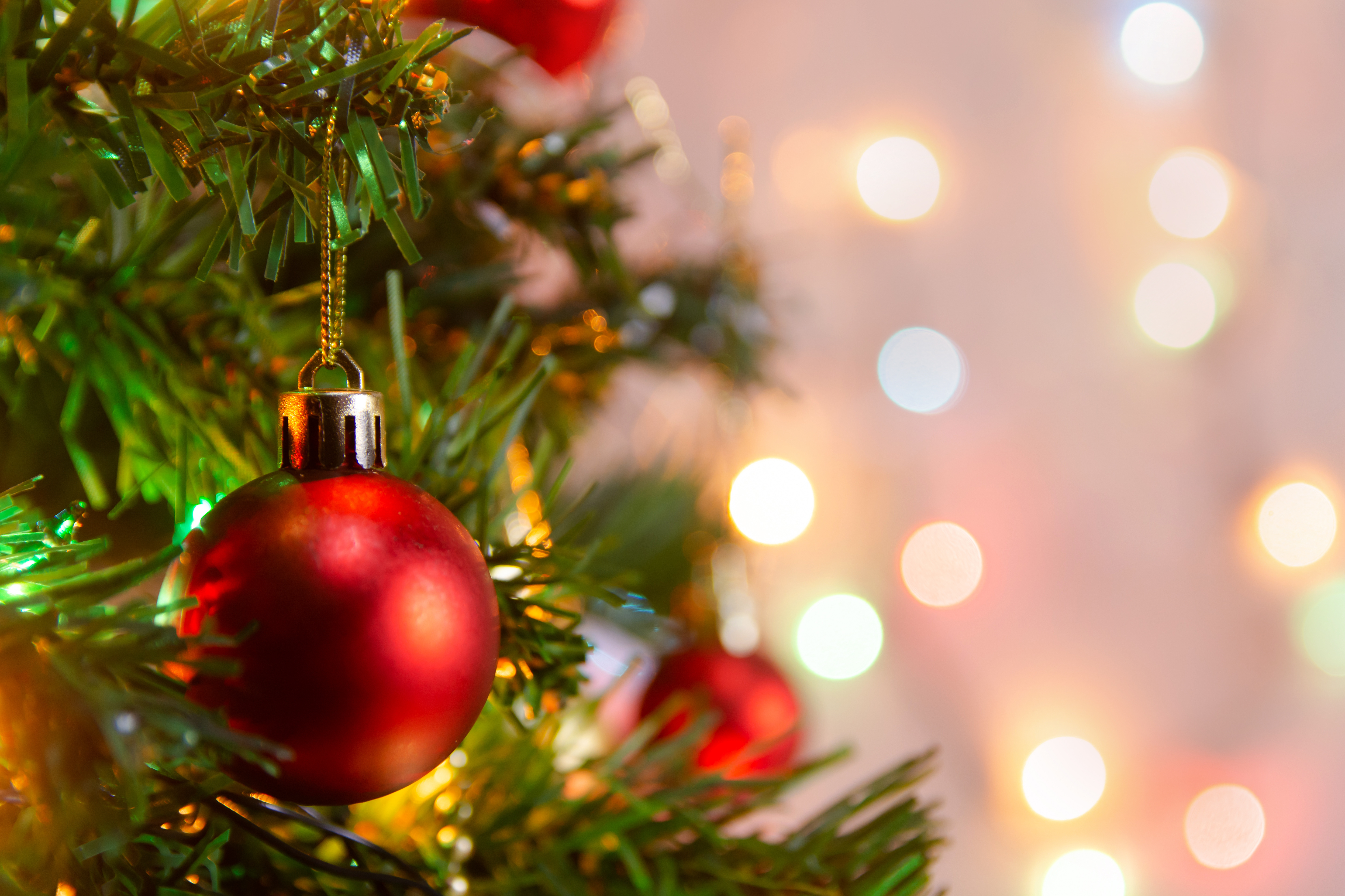 Tannenbaum-Setzen in Fockendorf