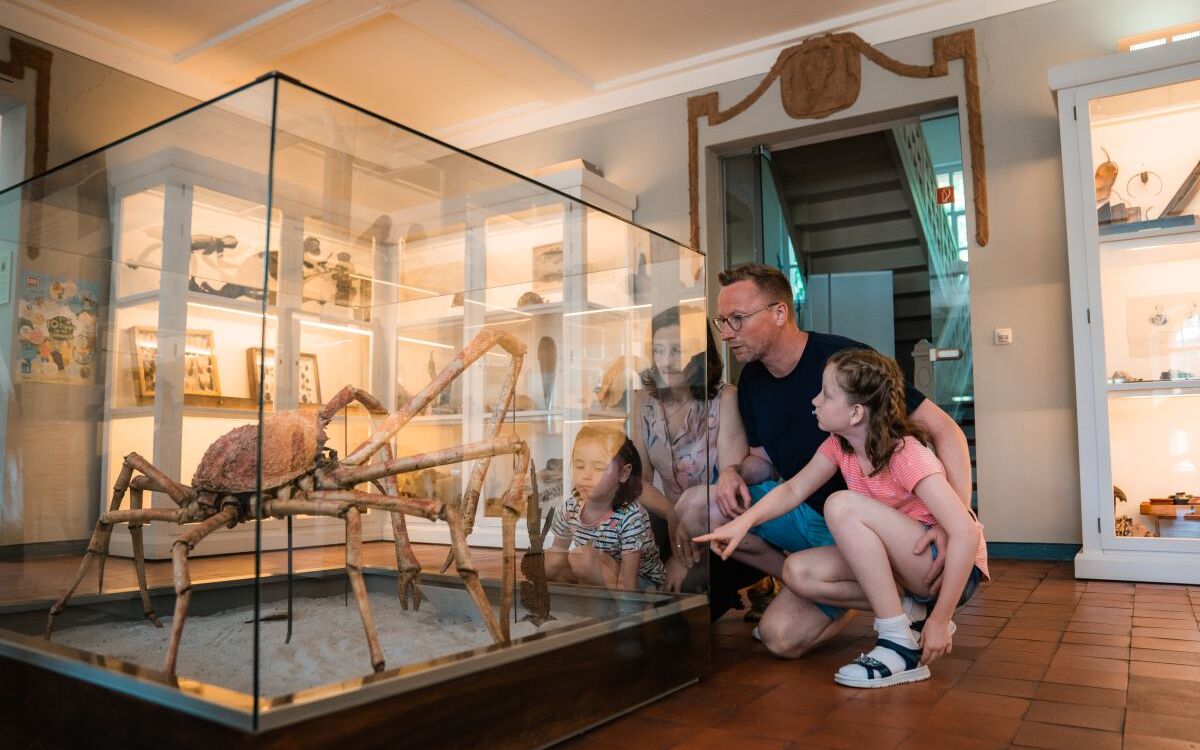 Naturkundemuseum Mauritianum - DEINE Familienzeit im Altenburger Land