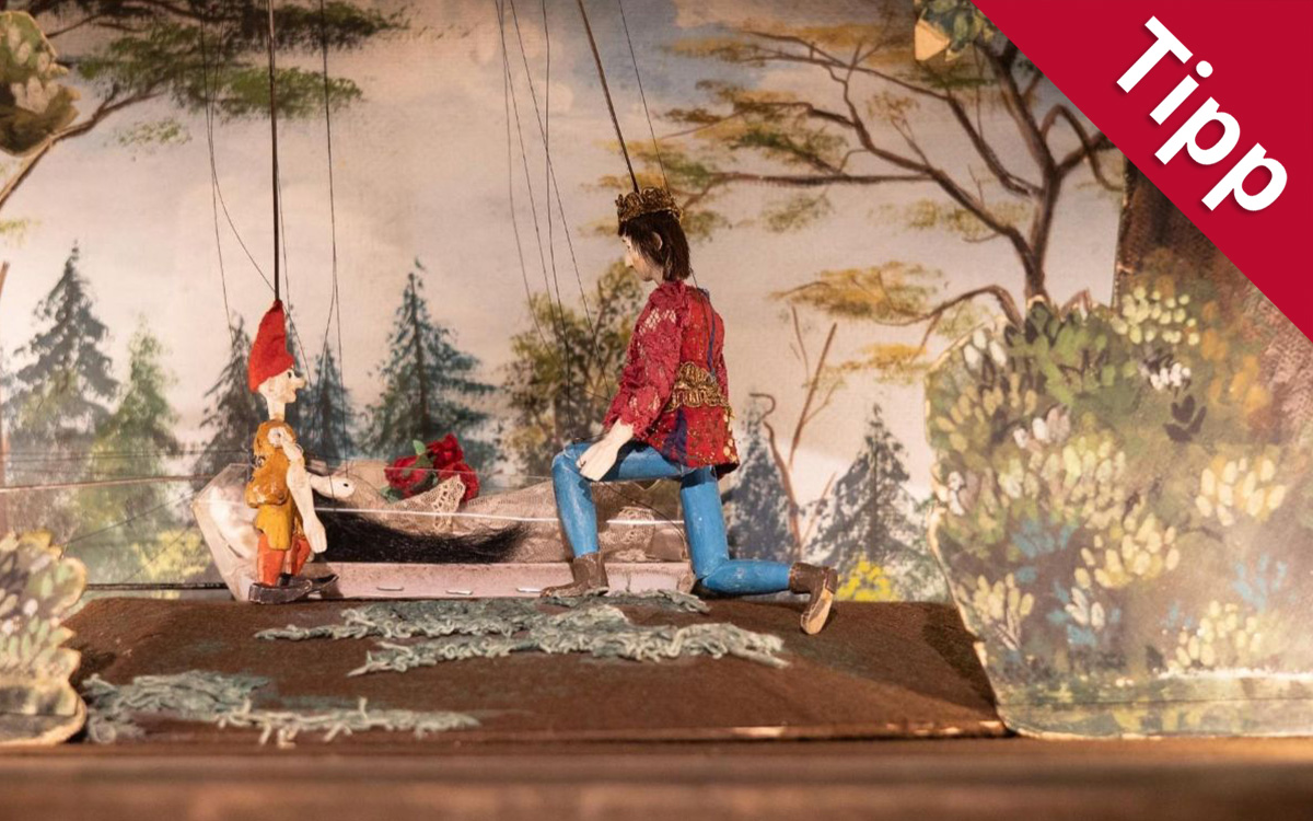 Theater Altenburg - Komm, lass die Puppen tanzen