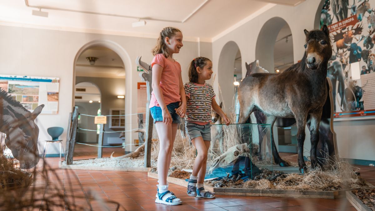 DEINE Familienzeit im Altenburger Land - Naturkundemuseum Mauritianum