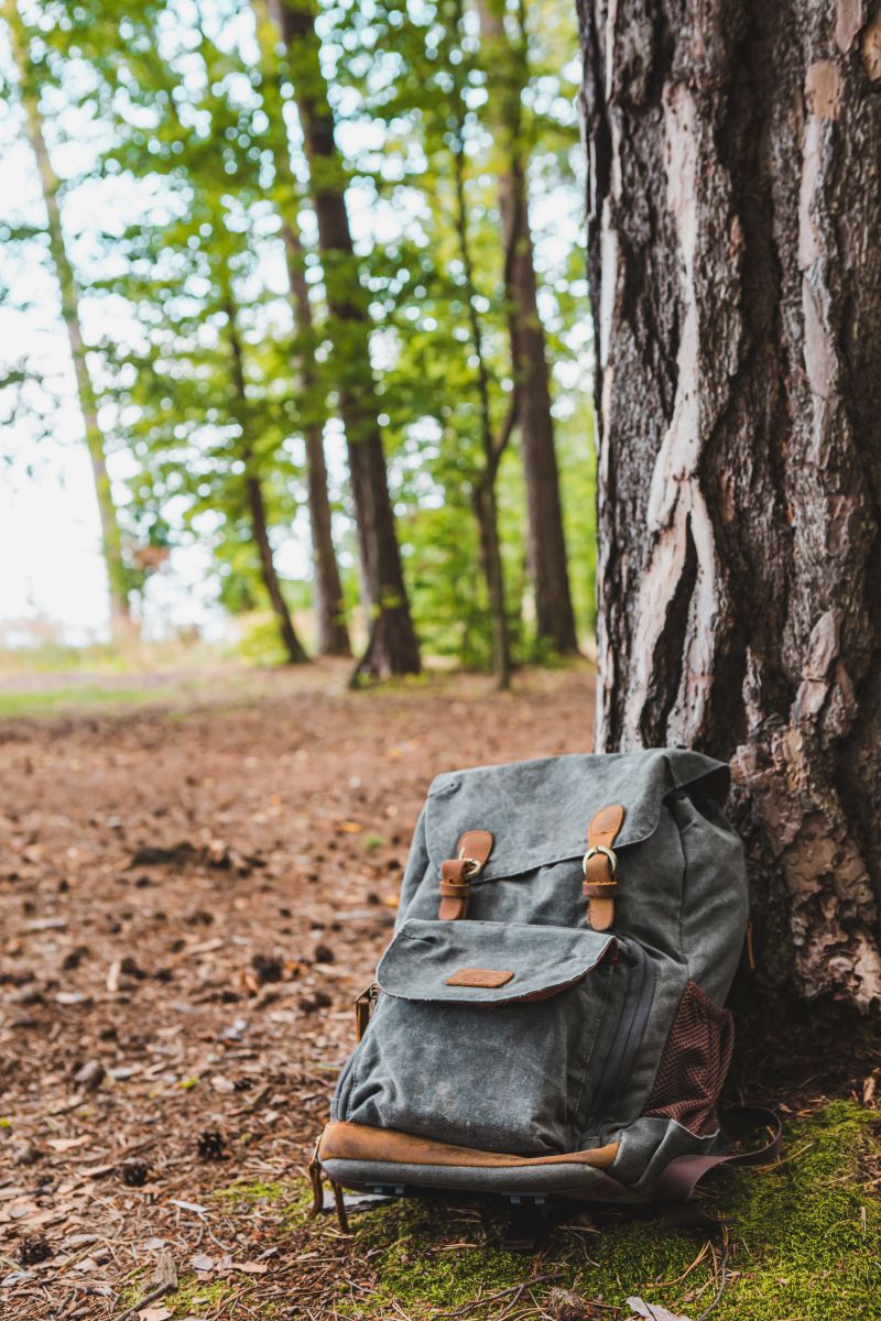 Copyright: Adobe Stock | hiking backpack near tree in forest  von phpetrunina14